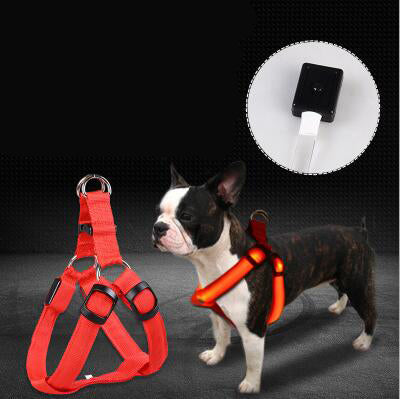 LED Luminous Dog Chest Strap Leash