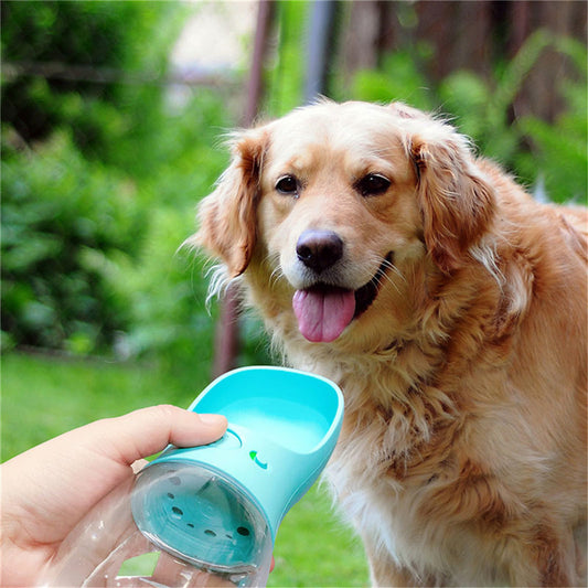 Pet Outdoor Portable Water Bottle