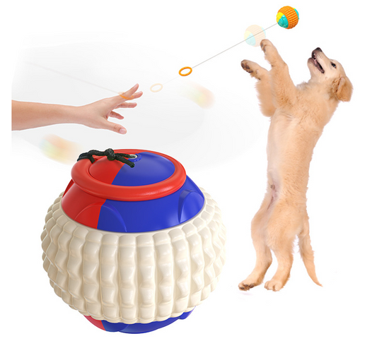 Pet Draw Rope Hand Throwing Ball
